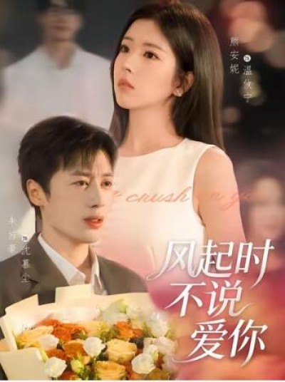 《风起时不说爱你》免费在线观看短剧高清全集完整版