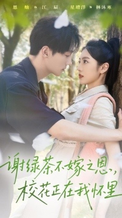 《谢绿茶不嫁之恩，校花正在我怀里》免费在线观看短剧高清全集完整版