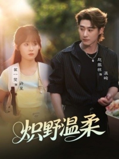 《炽野温柔》免费在线观看短剧高清全集完整版