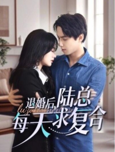 《退婚后，陆总每天求复合》短剧高清全集免费在线观看