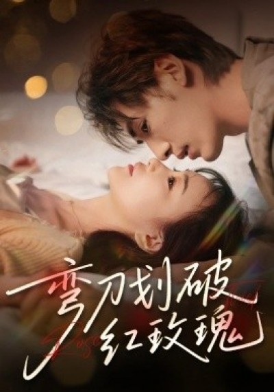 《弯刀划破红玫瑰》免费在线观看短剧高清全集完整版