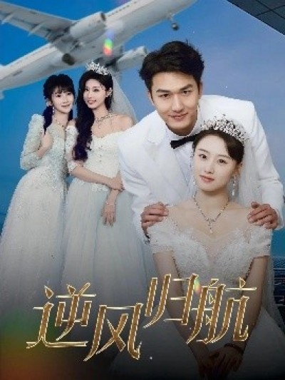 《逆风归航》免费在线观看短剧高清全集完整版