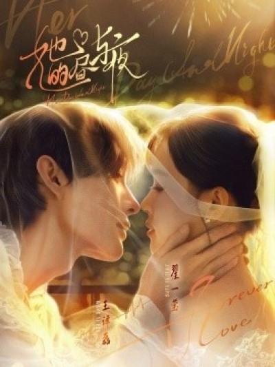 《她的昼与夜》免费在线观看短剧高清全集完整版