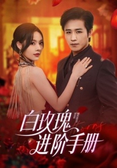《白玫瑰进阶手册》免费在线观看短剧高清全集完整版