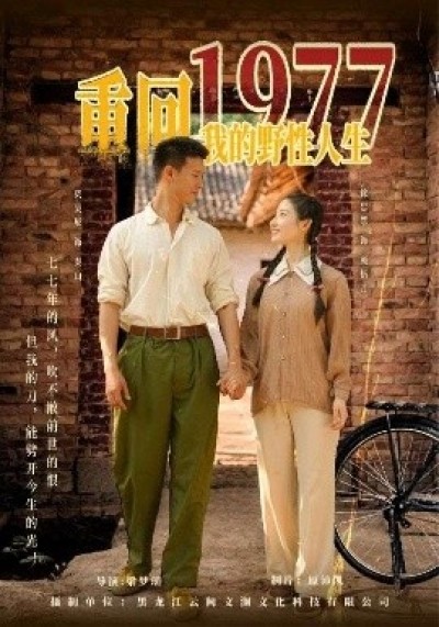 《重回1977我的野性人生》免费在线观看短剧高清全集完整版