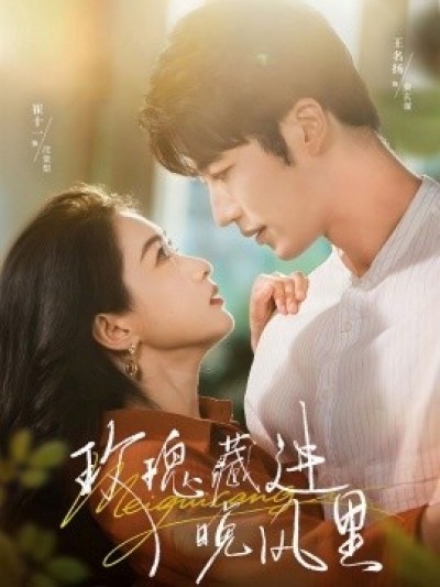 《玫瑰藏进晚风里》免费在线观看短剧高清全集完整版