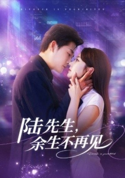 《陆先生，余生不再见》免费在线观看短剧高清全集完整版