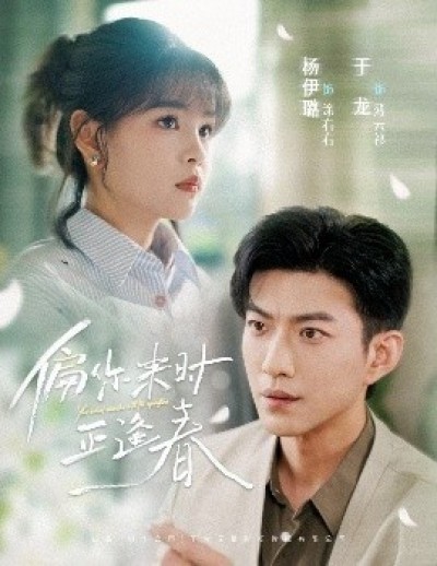 《偏你来时正逢春》免费在线观看短剧高清全集完整版