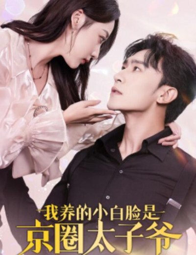 《我养的小白脸是京圈太子爷》短剧高清全集免费在线观看