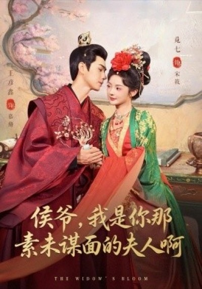 《侯爷，我是你那素未谋面的夫人啊》免费在线观看短剧高清全集完整版