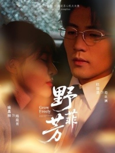 《野芳菲》免费在线观看短剧高清全集完整版