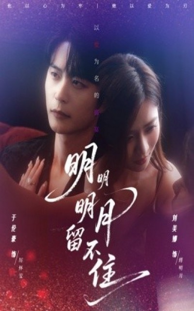 《明明明月留不住》免费在线观看短剧高清全集完整版