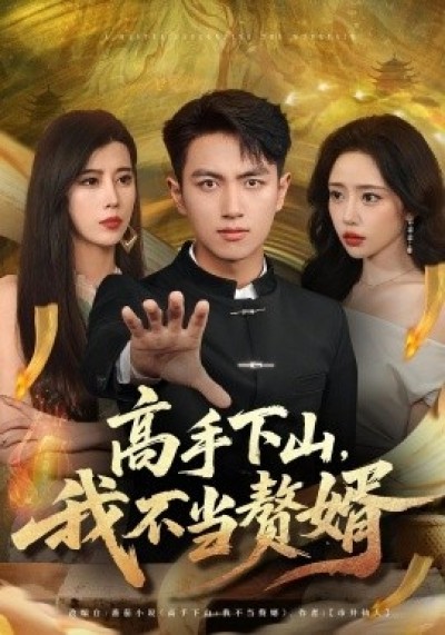 《高手下山，我不当赘婿》免费在线观看短剧高清全集完整版