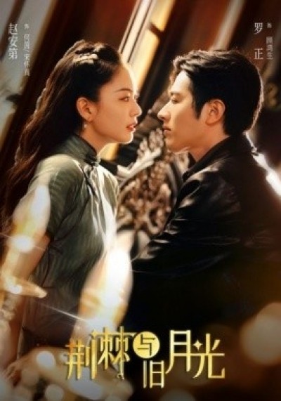 《荆棘与旧月光》免费在线观看短剧高清全集完整版