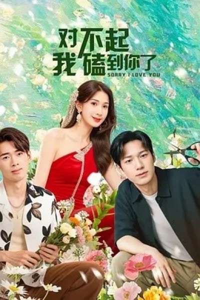 《对不起，我磕到你了》免费在线观看短剧高清全集完整版