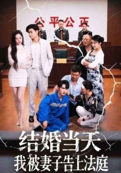 《结婚当天我被妻子告上法庭》免费在线观看短剧高清全集完整版