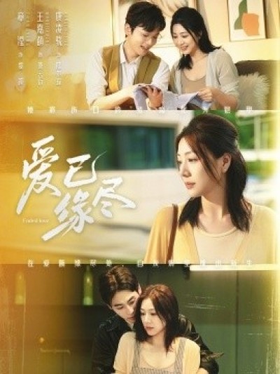 《爱已缘尽》免费在线观看短剧高清全集完整版