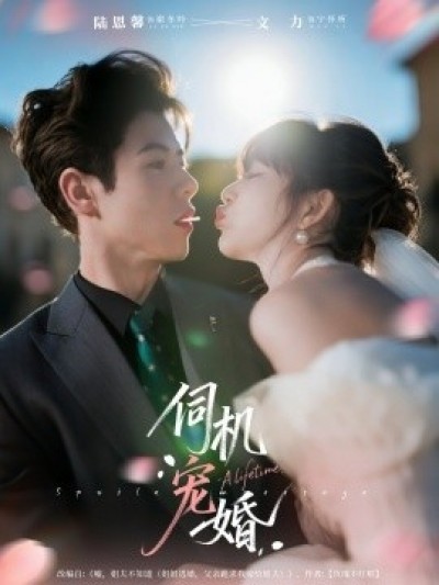 《伺机宠婚》免费在线观看短剧高清全集完整版