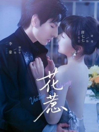 《花惹》免费在线观看短剧高清全集完整版