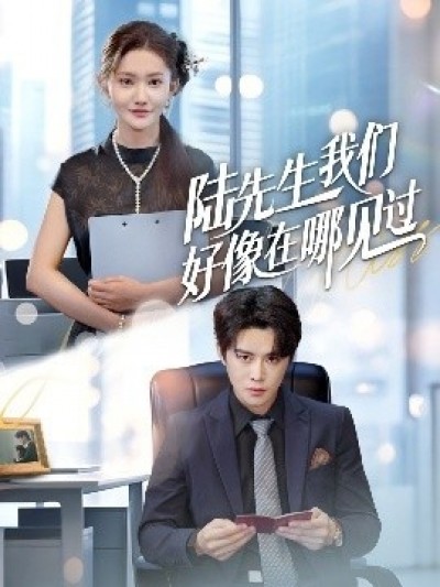 《陆先生我们好像在哪见过》免费在线观看短剧高清全集完整版
