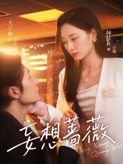 《妄想蔷薇》免费在线观看短剧高清全集完整版