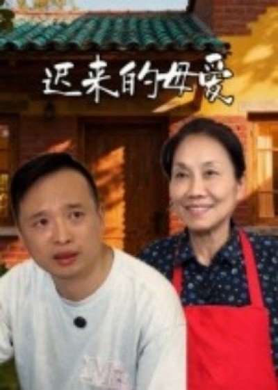 《迟来的母爱》免费在线观看短剧高清全集完整版