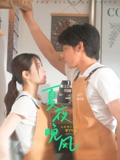 《夏夜晚风》免费在线观看短剧高清全集完整版