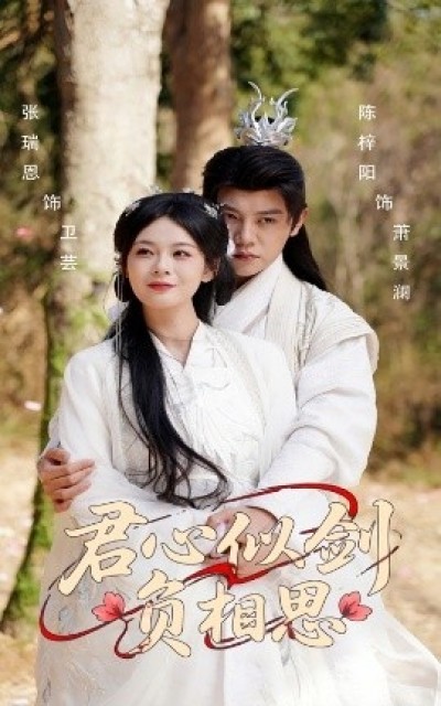 《君心似剑负相思》免费在线观看短剧高清全集完整版