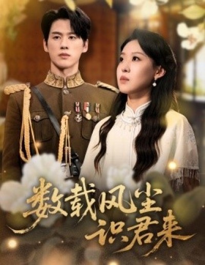 《数载风尘识君来》免费在线观看短剧高清全集完整版