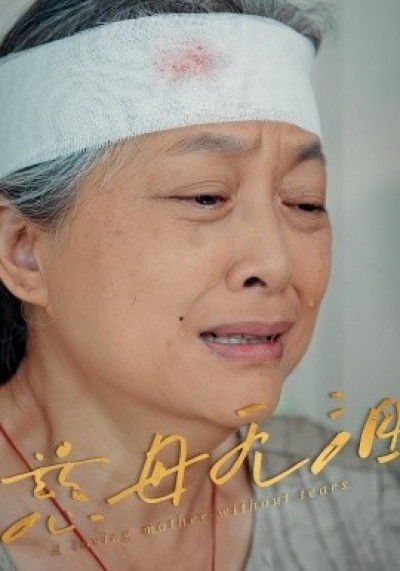 《慈母无泪》免费在线观看短剧高清全集完整版
