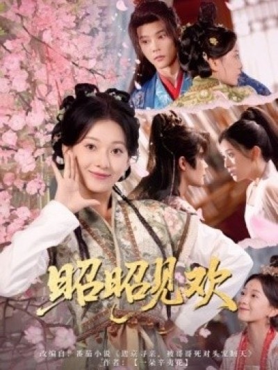 《昭昭见欢》免费在线观看短剧高清全集完整版