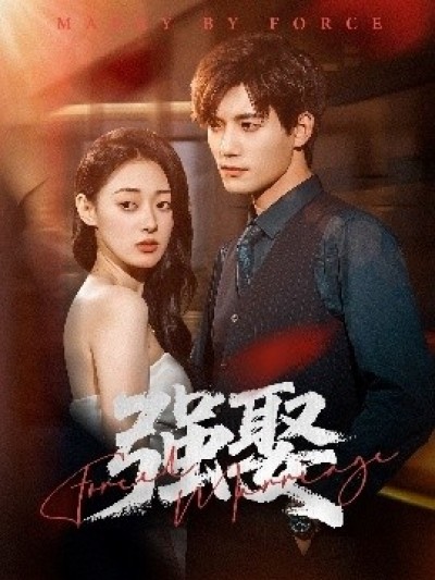 《强娶》免费在线观看短剧高清全集完整版