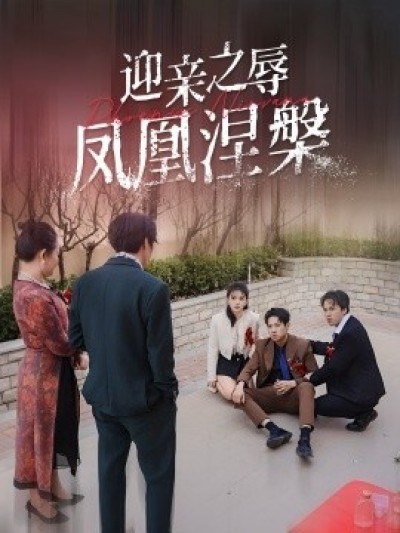 《迎亲之辱凤凰涅槃》免费在线观看短剧高清全集完整版