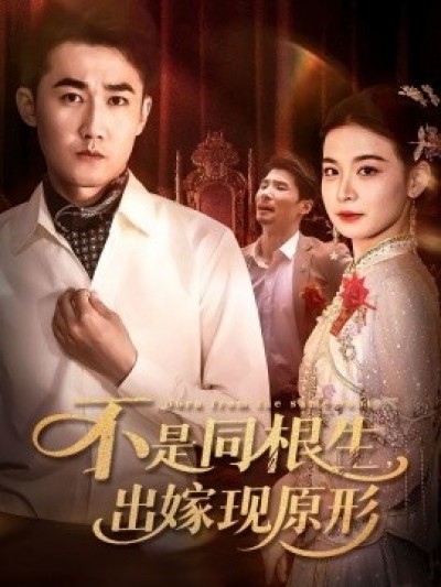 《不是同根生，出嫁现原形》免费在线观看短剧高清全集完整版