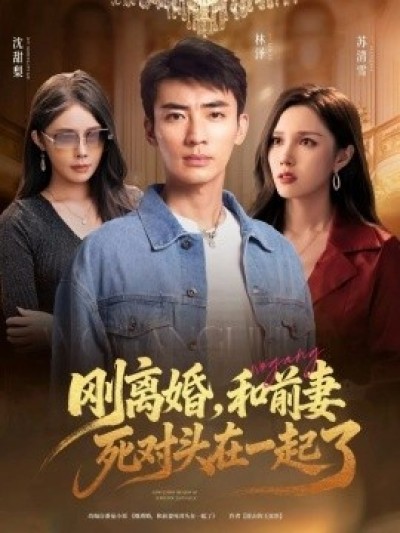《刚离婚，和前妻死对头在一起了》免费在线观看短剧高清全集完整版