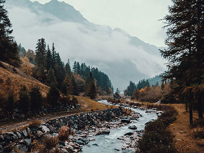 《这NPC咋比我还疯》免费在线观看短剧高清全集完整版