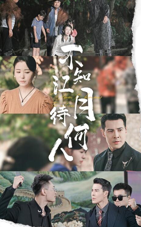 《不知江月待何人》短剧高清全集免费在线观看  第1张