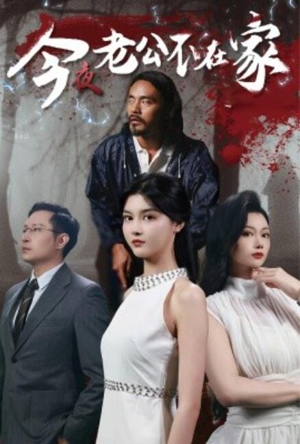 《今夜老公不在家》短剧高清全集免费在线观看  第1张