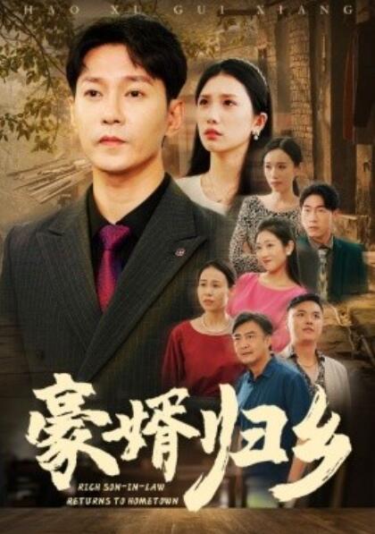 《豪婚归乡》短剧高清全集免费在线观看  第1张