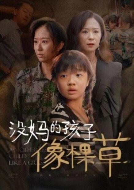 《没妈的孩子像棵草》短剧高清全集免费在线观看  第1张