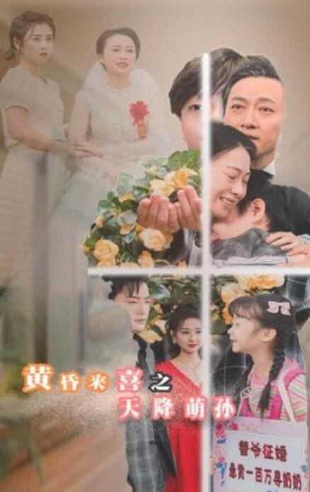 《黄昏来喜之天降萌孙》短剧高清全集免费在线观看  第1张