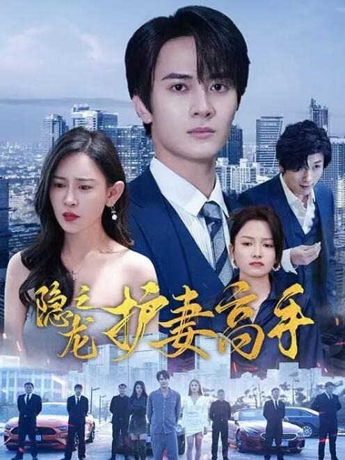 《隐龙之护妻高手》短剧高清全集免费在线观看  第1张