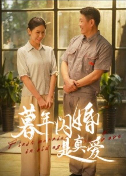 《暮年闪婚是真爱》短剧高清全集免费在线观看  第1张