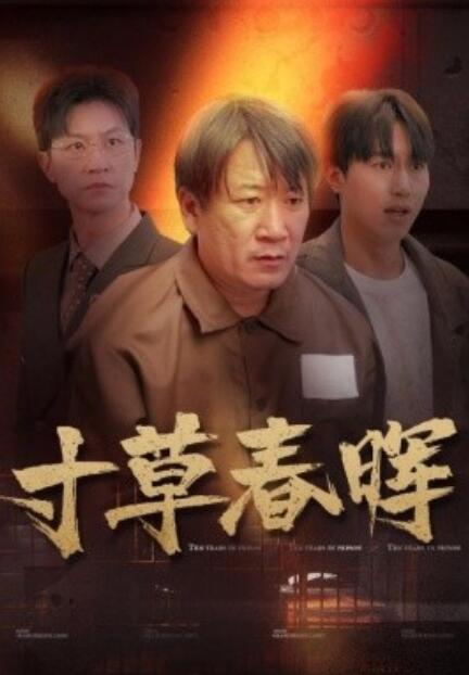 《寸草春晖》短剧高清全集免费在线观看  第1张