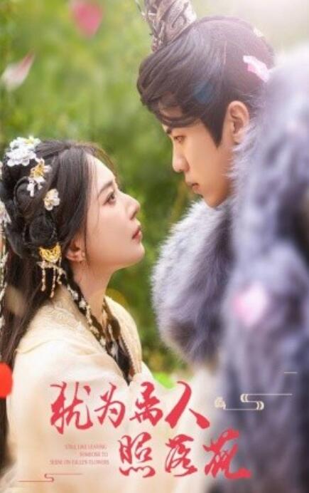《犹为离人照落花》短剧高清全集免费在线观看  第1张