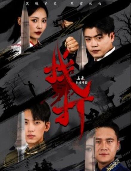 《找打》短剧高清全集免费在线观看  第1张
