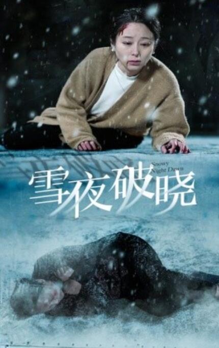 《雪夜破晓》短剧高清全集免费在线观看  第1张