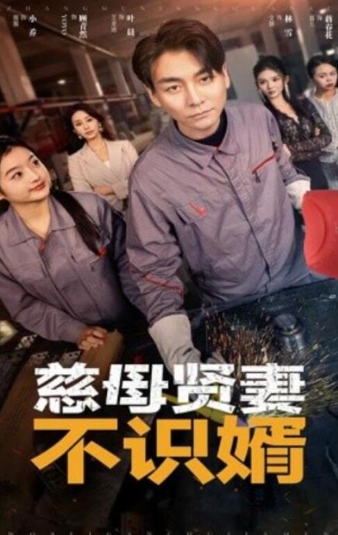 《慈母贤妻不识婿》短剧高清全集免费在线观看  第1张