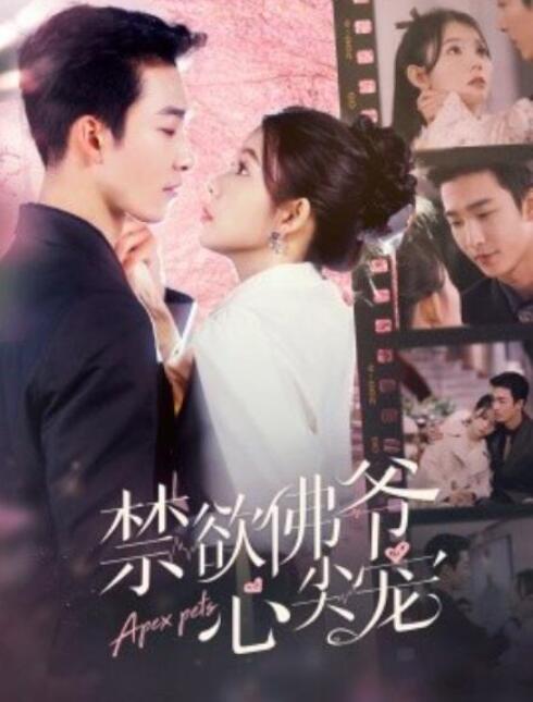 《禁欲佛爷心尖宠》短剧高清全集免费在线观看  第1张