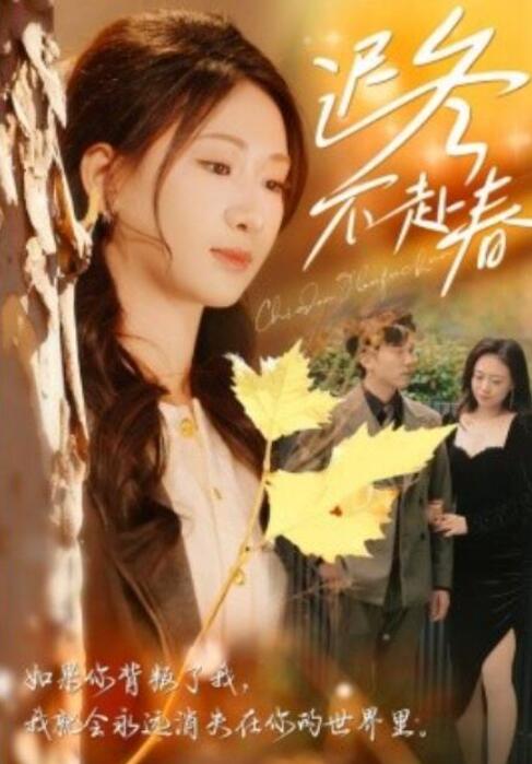 《迟冬不赴春》短剧高清全集免费在线观看  第1张